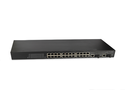 24 ports Ethernet Switches (Combo)